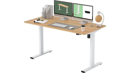 Flexispot sit stand desk