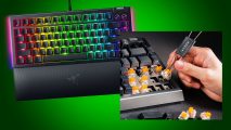 Razer BlackWidow 4 75% with hot-swappable switches
